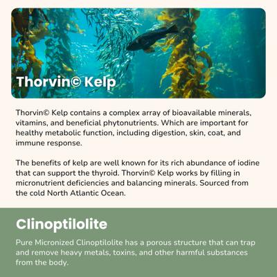 Super Cleanse Immune Supplement for Dogs & Cats, 3-oz