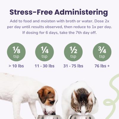 Inflapotion Powder Joint Supplement for Dogs, 3-oz