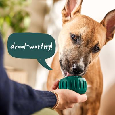 Starter Pack Chicken & Peanut Butter Flavored Treats, Silicone Mold & Pupsicle Dog Toy, Small