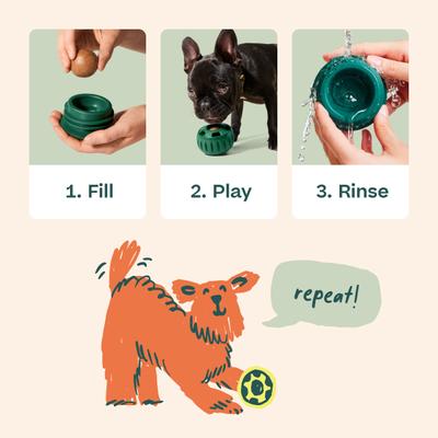 Starter Pack Chicken & Peanut Butter Flavored Treats, Silicone Mold & Pupsicle Dog Toy, Small