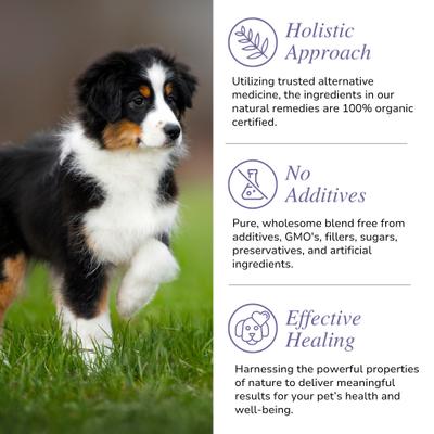 Super Cleanse Immune Supplement for Dogs & Cats, 3-oz