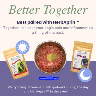 Inflapotion Powder Joint Supplement for Dogs, 3-oz