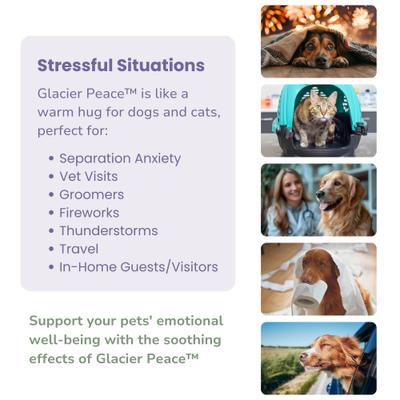 Glacier Peace Anxiety Relief Powder for Dogs & Cats, 3-oz