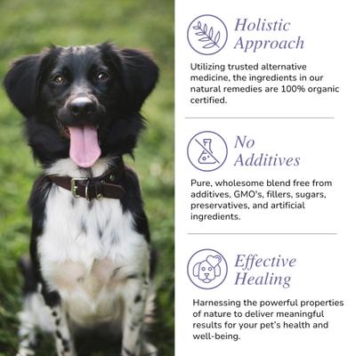 Daily Defense Powder Immune Supplement for Dogs & Cats, 3-oz