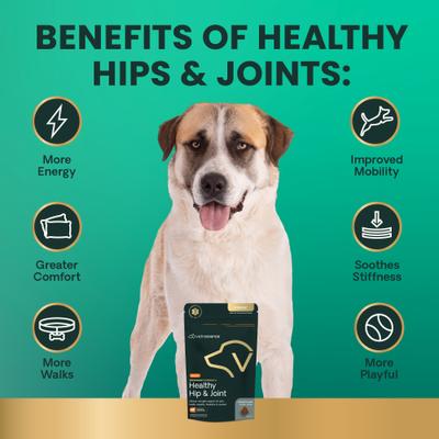 Veterinary Strength Healthy Hip & Joint Chicken Flavored Supplement Chews for Large Dogs, 60 Count