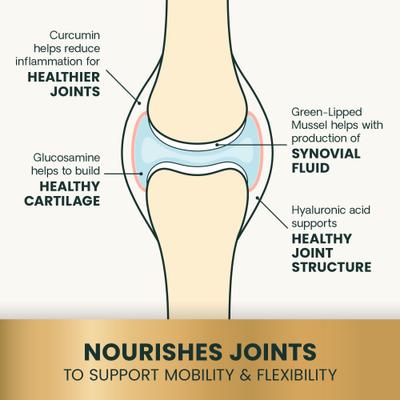 Veterinary Strength Healthy Hip & Joint Chicken Flavored Supplement Chews for Large Dogs, 60 Count
