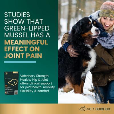 Veterinary Strength Healthy Hip & Joint Chicken Flavored Supplement Chews for Large Dogs, 60 Count