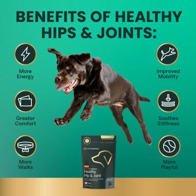 Veterinary Strength Healthy Hip & Joint Chicken Flavored Supplement Chews for Small & Medium Dogs, 60 Count