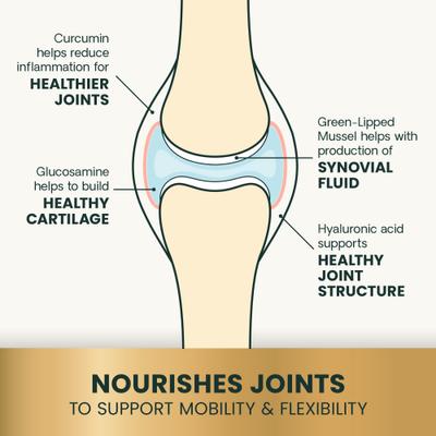 Veterinary Strength Healthy Hip & Joint Chicken Flavored Supplement Chews for Small & Medium Dogs, 60 Count