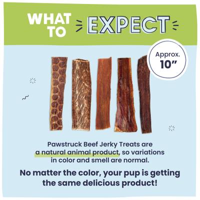 Joint Health Beef Jerky Dog Treats, 10-in, 15 count