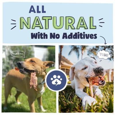 Premios para perros con carne seca para la salud de las articulaciones, 5.5 pulgadas, 25 unidades