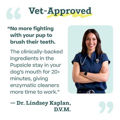 Pupsicle Mix Doggy Dental Lickable Dog Treats, 5.5-oz bag