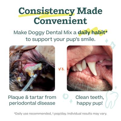 Pupsicle Mix Doggy Dental Lickable Dog Treats, 5.5-oz bag