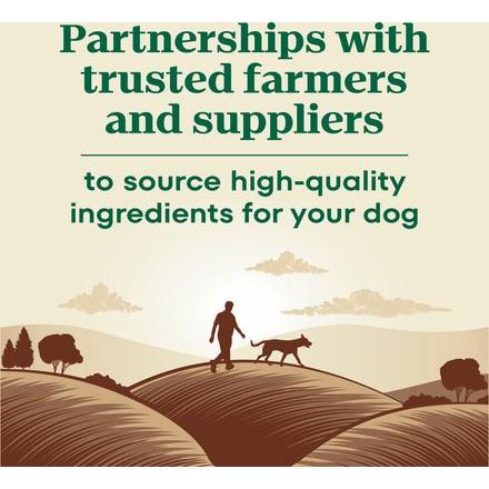 Alimento seco natural para perros Max Adult Large Breed Farm-Raised Chicken Recipe, bolsa de 25 lb