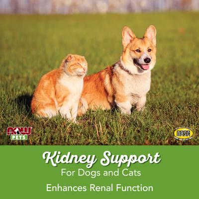 Kidney Support Dog & Cat Supplement, 4.2-fl oz bottle