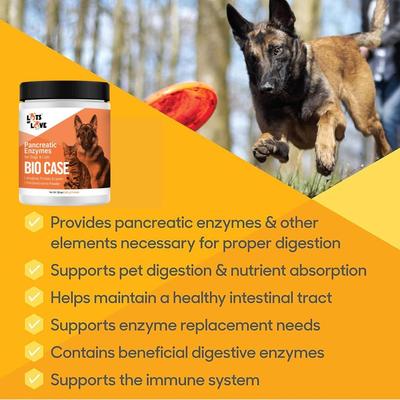 Bio Case Pancreatic Enzyme Powder for Dogs, 12-oz jar