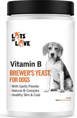 Brewer's Yeast Garlic Flavored Skin & Coat Powder Supplement for Dogs, 16-oz jar