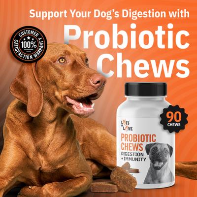 Probiotics Chew Digestive Aid for Dogs, 90 count