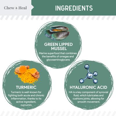 Essential 12-in-1 Multifunctional Support Chews Dog Supplement & Chew + Heal Senior Hip + Joint Chews Dog Supplement, 240 count