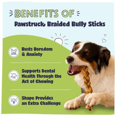 Braided Bully Sticks Dog Treats, 1-lb bag, 9-in
