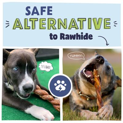 Golosinas para perros Braided Bully Sticks, bolsa de 1 lb, 7 pulgadas