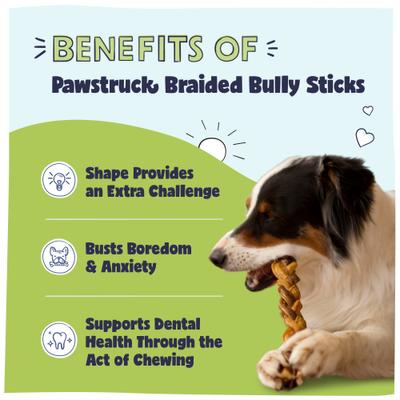 Golosinas para perros Braided Bully Sticks, bolsa de 1 lb, 7 pulgadas