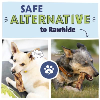 Golosinas para perros Braided Bully Sticks, bolsa de 1 lb, 5 pulgadas