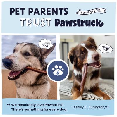 Straight Bully Sticks Dog Treats, 1-lb bag, 8-12 in