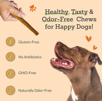 12-inch Bully Stick Braided Dog Chew, 1 count