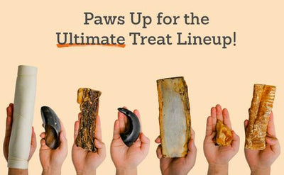 Golosinas masticables naturales para perros Water Buffalo Hooves, 12 unidades