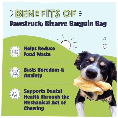 Natural Chew Bizarre Bargain Dog Treats, 1-lb bag
