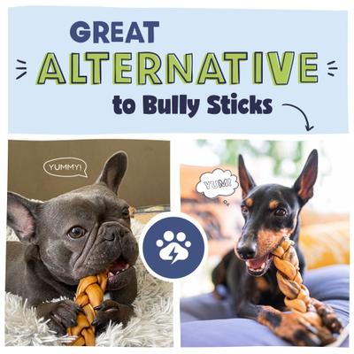 Collagen Braids Dog Treats, Small, 5 count