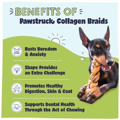 Collagen Braids Dog Treats, Small, 5 count
