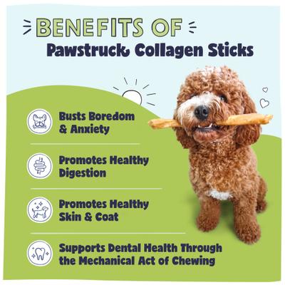Collagen Stick Dog Treats, Large, 5 count