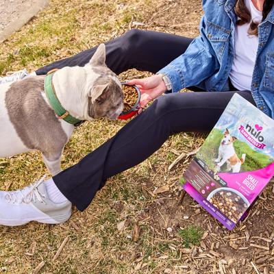 Raw Medley Turkey, Sweet Potato & Duck Small Breed Adult Dry Dog Food, 10-lb bag