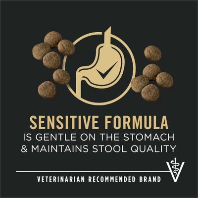 Sensitive Skin & Stomach Salmon Adult Large Breed Formula Dry Dog Food, 34-lb bag