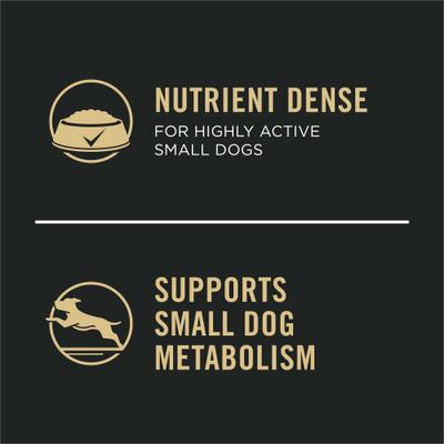 Adult Small Breed High-Protein Turkey & Spinach Entree in Gravy Shredded Wet Dog Food, 5.5-oz can, case of 24