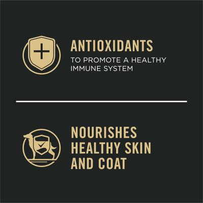 Adult Small Breed High-Protein Beef & Green Beans Entree in Gravy Shredded Wet Dog Food, 5.5-oz can, case of 24