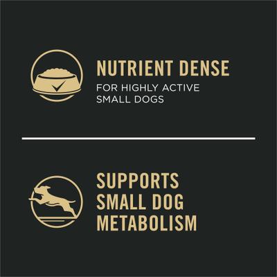 Puppy Small Breed High-Protein Chicken & Brown Rice Entree Wet Dog Food, 5.5-oz can, case of 24