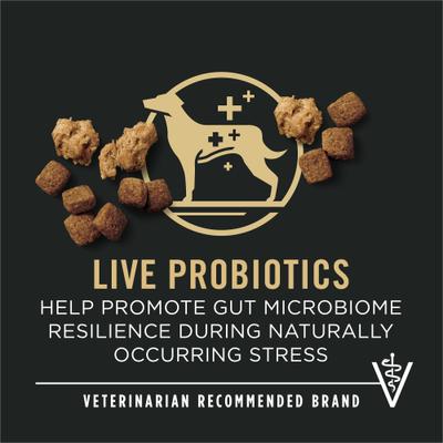 Adult 7+ Shredded Blend Chicken & Rice Formula Dry Dog Food, 6-lb bag