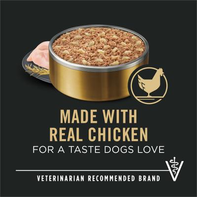 Senior Small Breed Chicken & Brown Rice Entree Pate Wet Dog Food, 5.5-oz can, case of 24