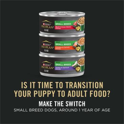 Puppy Small Breed High-Protein Chicken & Brown Rice Entree Wet Dog Food, 5.5-oz can, case of 24