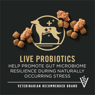 7+ Complete Essentials Shredded Blend Beef & Rice Formula High Protein Dog Food, 18-lb bag