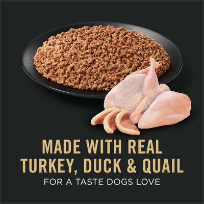 Sport High Protein Turkey, Duck & Quail Entrée Wet Dog Food, 13-oz can, case of 12