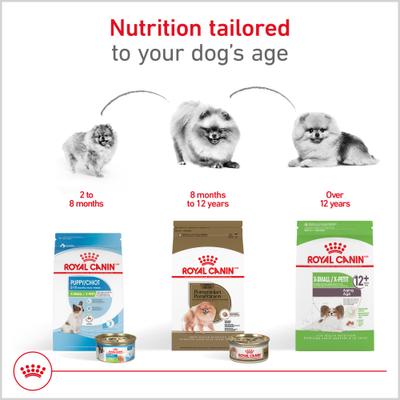 Alimento seco para perros adultos Pomeranian de Breed Health Nutrition, bolsa de 10 lb