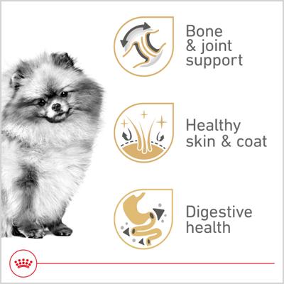 Breed Health Nutrition Pomeranian Adult Loaf in Sauce Canned Dog Food, 3-oz, case of 4