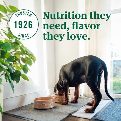 Ultra Puppy Large Breed High Protein Trio of Proteins Chicken, Lamb & Salmon Dry Dog Food, 27-lb bag