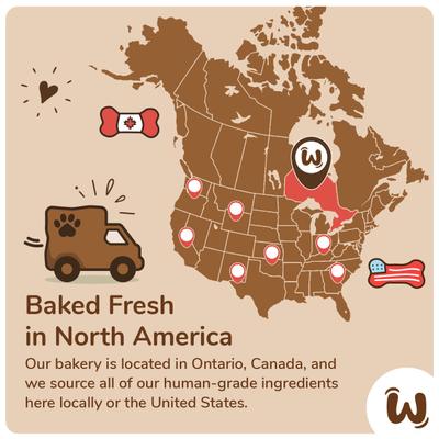 Woof It Down Pizza & Pop Dog Crunchy Treat, 2 count