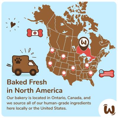 Birthday Pink Cupcake Platter Dog Crunchy Treat, 5 count