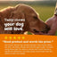 Zesty Paws, Ancient Elements Aller Immune Bites para Perros, sabor Bisonte. 90 chews.